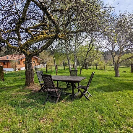 Maison Neuve Et Paisible Avec Etang Prive, Terrasse Et Randonnees Aux Portes Du Pays De Salm - Fr-1-589-635 *