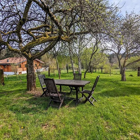 Maison Neuve Et Paisible Avec Etang Prive, Terrasse Et Randonnees Aux Portes Du Pays De Salm - Fr-1-589-635 *