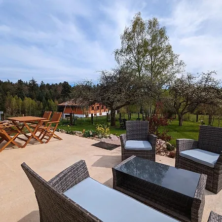 Prázdninový dům Maison Neuve Et Paisible Avec Etang Prive, Terrasse Et Randonnees Aux Portes Du Pays De Salm - Fr-1-589-635 Moyenmoutier