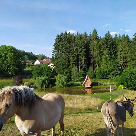 Holiday home Maison Neuve Et Paisible Avec Etang Prive, Terrasse Et Randonnees Aux Portes Du Pays De Salm - Fr-1-589-635 Moyenmoutier