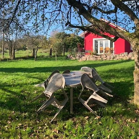 Maison Neuve Et Paisible Avec Etang Prive, Terrasse Et Randonnees Aux Portes Du Pays De Salm - Fr-1-589-635 *