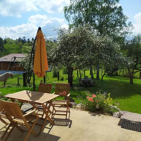 Maison Neuve Et Paisible Avec Etang Prive, Terrasse Et Randonnees Aux Portes Du Pays De Salm - Fr-1-589-635 *